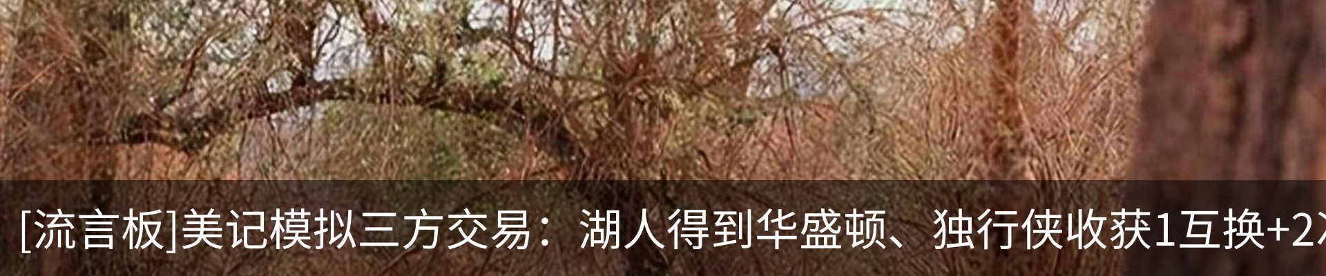 新闻中心
